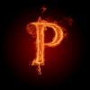 Pilt