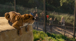 Kupiliśmy Zoo / We Bought a Zoo (2011) PL.720p.BRRip.XviD.AC3-CiNEXCELLENT |Lektor PL +rmvb Kupiliśmy Zoo / We Bought a Zoo (2011) PL.720p.BRRip.XviD.AC3-CiNEXCELLENT |Lektor PL +rmvb
